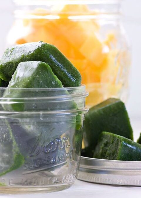 Ingenious Idea – Kale Cubes for Smoothies